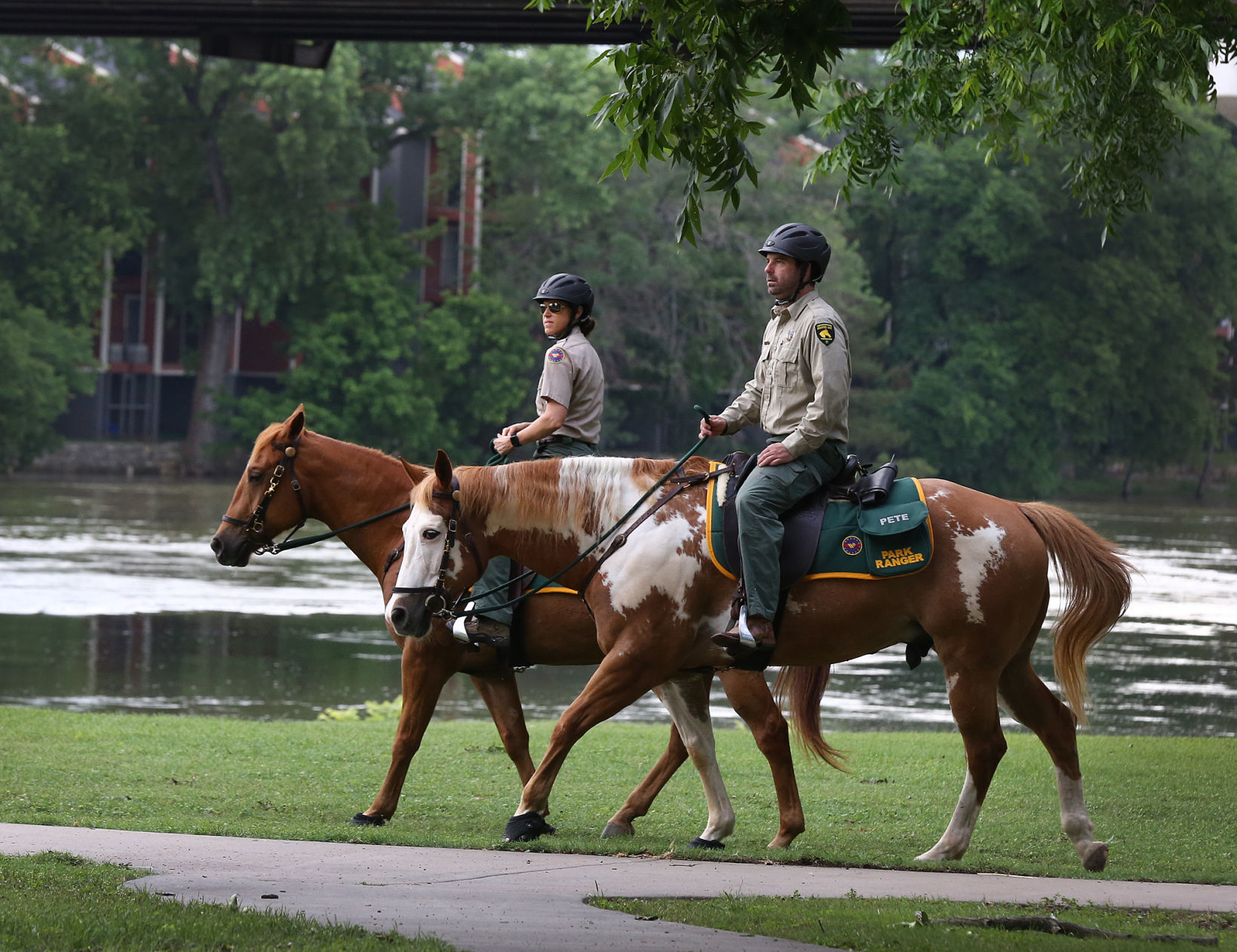 20190609_loc_parkhorses_ra1